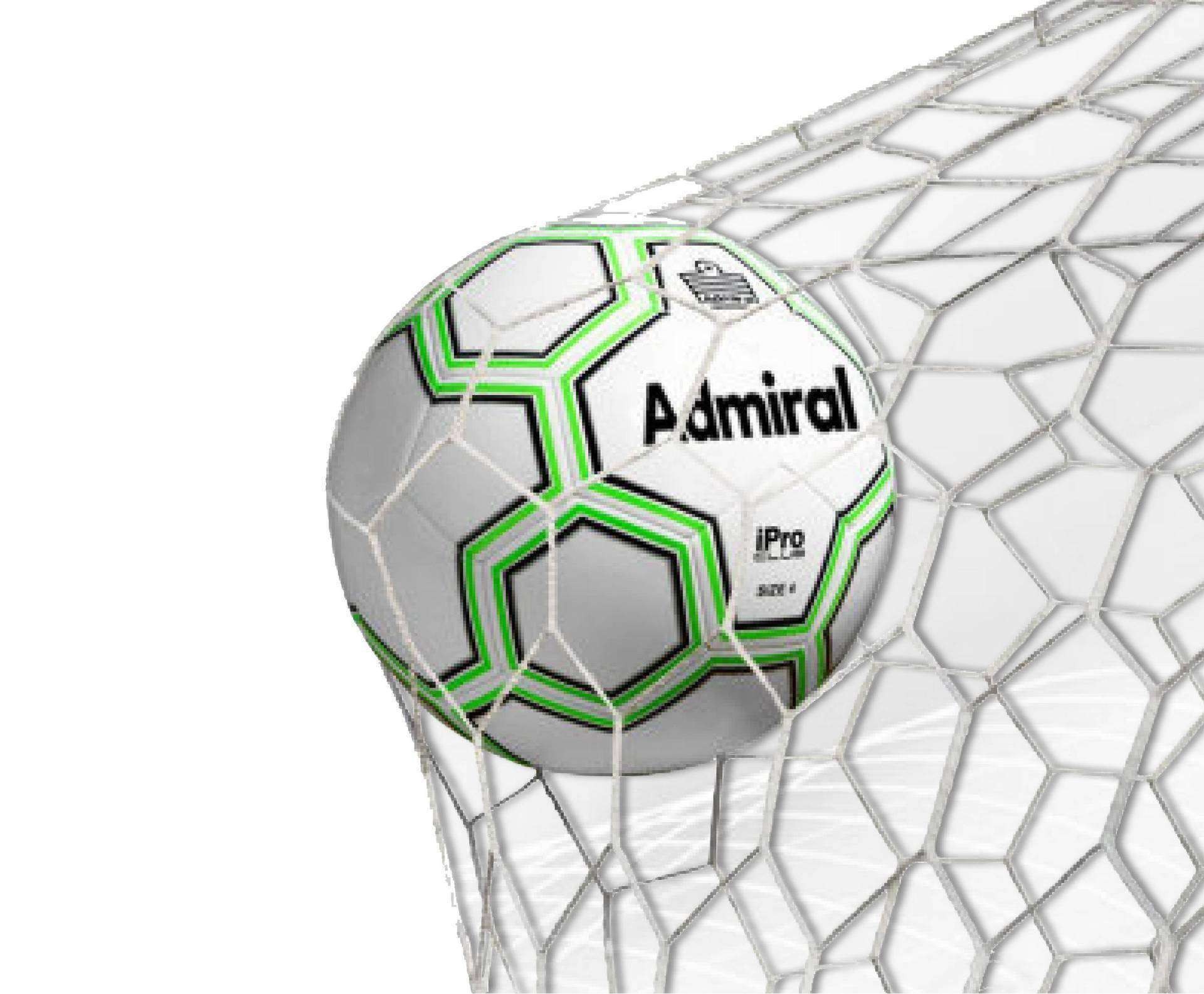 ProHex Goal Net