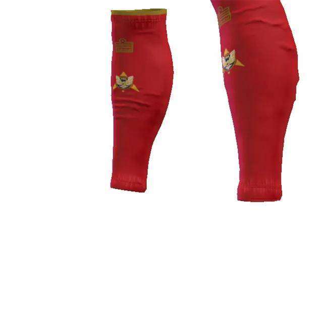 Red Sock Sleeves