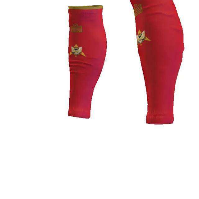 Red Sock Sleeves