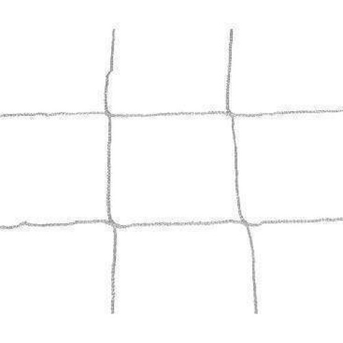 Quantum Goal Net
